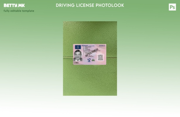 Модерен стил Шведската возачка дозвола претставува преден шаблон со фото изглед